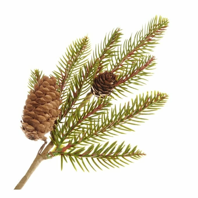 Promo ✔️ Hobbycraft Green Fir Cone Pick 36cm 😉 4 Promo ✔️ Hobbycraft Green Fir Cone Pick 36cm 😉 - Image 2