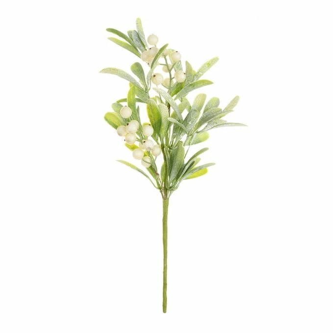 Best reviews of 🔔 Hobbycraft Mistletoe With Berries Pick 38cm 🥰 3 Best reviews of 🔔 Hobbycraft Mistletoe With Berries Pick 38cm 🥰