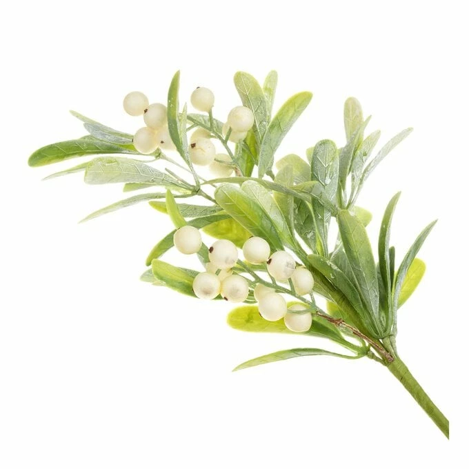 Best reviews of 🔔 Hobbycraft Mistletoe With Berries Pick 38cm 🥰 4 Best reviews of 🔔 Hobbycraft Mistletoe With Berries Pick 38cm 🥰 - Image 2