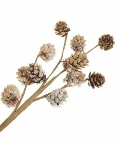 Alternative view of Wholesale 🔔 Hobbycraft Fir Cone Branch 41cm 🧨