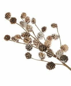Alternative view of Deals 🌟 Hobbycraft Fir Cone Stem 74cm ✔️
