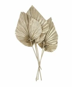 Best Pirce β Hobbycraft Champagne Gold King Palm Spears 5 Pack β¨