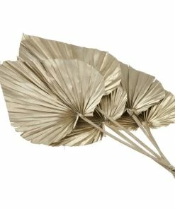 Alternative view of Best Pirce ⭐ Hobbycraft Champagne Gold King Palm Spears 5 Pack ✨