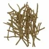 Deals ๐ Hobbycraft Gold Pine Needles 40g โ๏ธ 1 Deals ๐ Hobbycraft Gold Pine Needles 40g โ๏ธ -Hobbycraft Shop 659124 1000 1 christmas gold pine needles