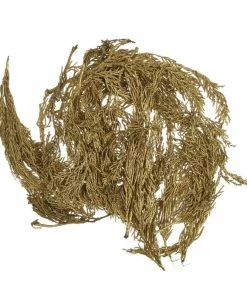 Discount 🥰 Hobbycraft Gold Cypress Leaves 50g 🎉
