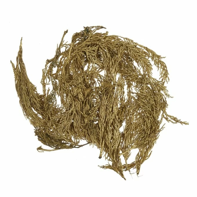 Discount π₯° Hobbycraft Gold Cypress Leaves 50g π 3 Discount π₯° Hobbycraft Gold Cypress Leaves 50g π