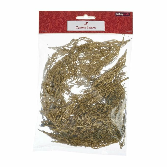Discount π₯° Hobbycraft Gold Cypress Leaves 50g π 5 Discount π₯° Hobbycraft Gold Cypress Leaves 50g π - Image 3