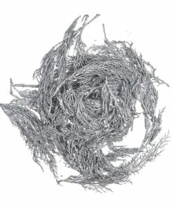Best Sale ✨ Hobbycraft Silver Cypress Leaves 50g 🥰