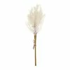 Deals 💯 Hobbycraft White Leaf Pick 40.5cm 😀 1 Deals 💯 Hobbycraft White Leaf Pick 40.5cm 😀 -Hobbycraft Shop 659129 1000 1 christmas white pick decoration