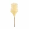 Best Sale 💯 Hobbycraft White Pampas Pick 30.5cm 🛒 -Hobbycraft Shop 659130 1000 1 autumn pampas pick white decoration