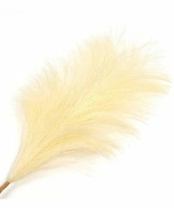 Alternative view of Best Sale 💯 Hobbycraft White Pampas Pick 30.5cm 🛒