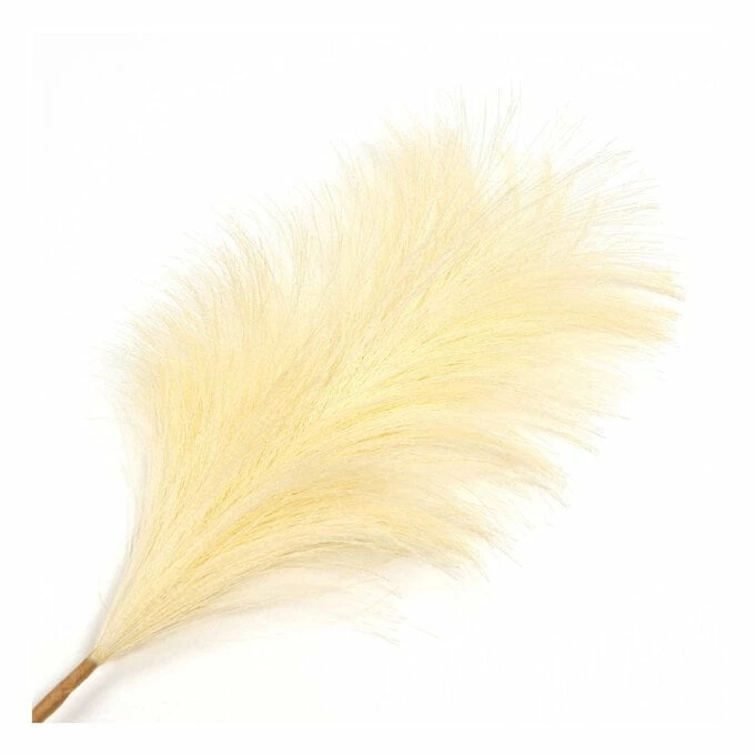 Best Sale π― Hobbycraft White Pampas Pick 30.5cm π 4 Best Sale π― Hobbycraft White Pampas Pick 30.5cm π - Image 2