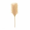 Best reviews of โจ Hobbycraft Camel Pampas Pick 30.5cm โค๏ธ 2 Best reviews of โจ Hobbycraft Camel Pampas Pick 30.5cm โค๏ธ -Hobbycraft Shop 659130 1001 1 autumn pampas pick white decoration