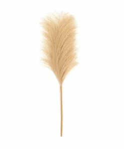 Best reviews of ✨ Hobbycraft Camel Pampas Pick 30.5cm ❤️