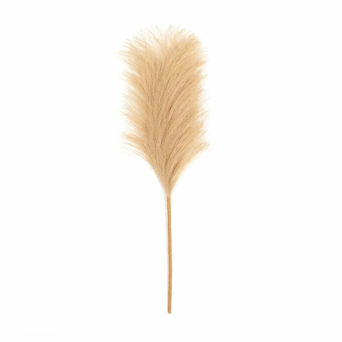 Best reviews of ✨ Hobbycraft Camel Pampas Pick 30.5cm ❤️ 3 Best reviews of ✨ Hobbycraft Camel Pampas Pick 30.5cm ❤️