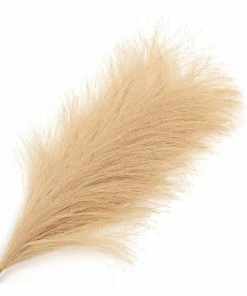 Alternative view of Best reviews of ✨ Hobbycraft Camel Pampas Pick 30.5cm ❤️
