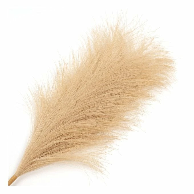Best reviews of ✨ Hobbycraft Camel Pampas Pick 30.5cm ❤️ 4 Best reviews of ✨ Hobbycraft Camel Pampas Pick 30.5cm ❤️ - Image 2