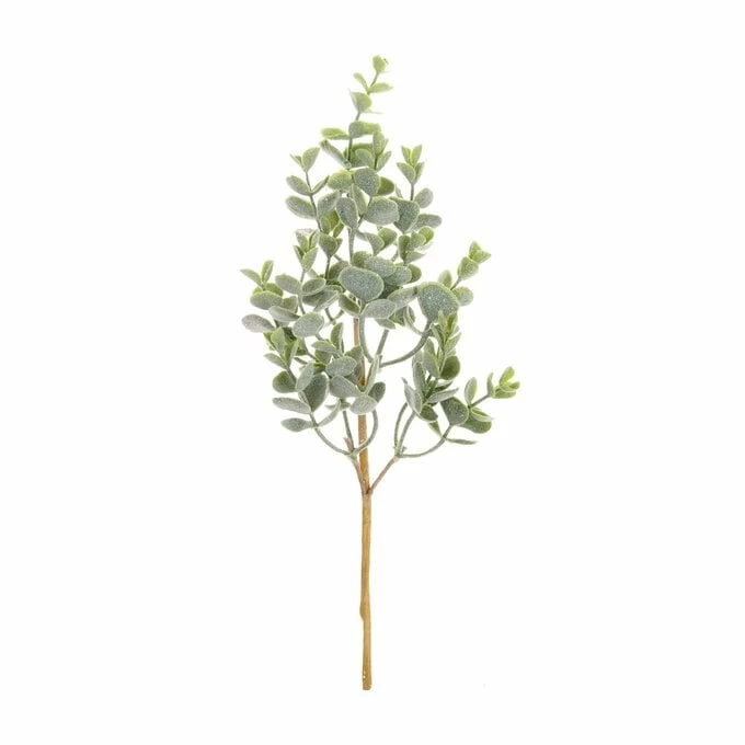 Deals ๐ฏ Hobbycraft Snowy Eucalyptus Pick 30.5cm ๐คฉ 3 Deals ๐ฏ Hobbycraft Snowy Eucalyptus Pick 30.5cm ๐คฉ