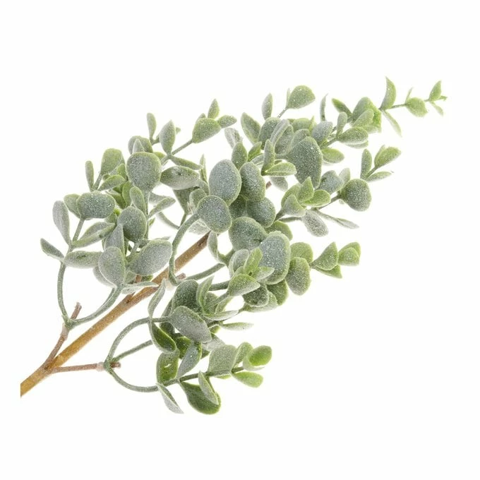Deals ๐ฏ Hobbycraft Snowy Eucalyptus Pick 30.5cm ๐คฉ 4 Deals ๐ฏ Hobbycraft Snowy Eucalyptus Pick 30.5cm ๐คฉ - Image 2