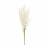 Brand new π Hobbycraft White Leaf Pick 30.5cm π 1 Brand new π Hobbycraft White Leaf Pick 30.5cm π -Hobbycraft Shop 659133 1000 1 christmas white leaf pick decoration