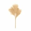 Coupon 🎉 Hobbycraft Camel Pampas Stem 45.5cm ❤️ 2 Coupon 🎉 Hobbycraft Camel Pampas Stem 45.5cm ❤️ -Hobbycraft Shop 659136 1000 1 autumn faux pampas stem camel decoration