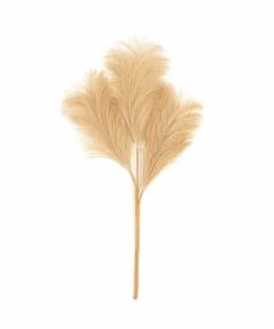 Coupon 🎉 Hobbycraft Camel Pampas Stem 45.5cm ❤️