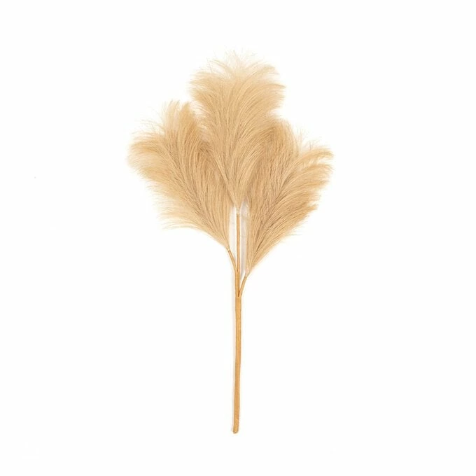 Coupon π Hobbycraft Camel Pampas Stem 45.5cm β€οΈ 3 Coupon π Hobbycraft Camel Pampas Stem 45.5cm β€οΈ