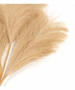 Alternative view of Coupon 🎉 Hobbycraft Camel Pampas Stem 45.5cm ❤️