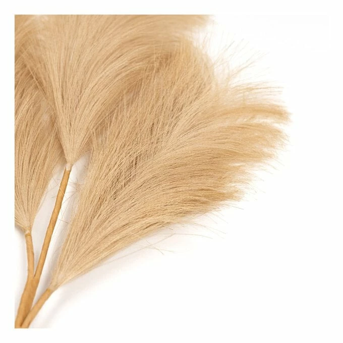 Coupon π Hobbycraft Camel Pampas Stem 45.5cm β€οΈ 4 Coupon π Hobbycraft Camel Pampas Stem 45.5cm β€οΈ - Image 2