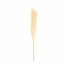 Brand new ๐ Hobbycraft Long Blonde Pampas Stem 53cm ๐ 2 Brand new ๐ Hobbycraft Long Blonde Pampas Stem 53cm ๐ -Hobbycraft Shop 659137 1000 1 long faux pampas stem decoration autumn