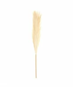 Brand new 🔔 Hobbycraft Long Blonde Pampas Stem 53cm 🔔