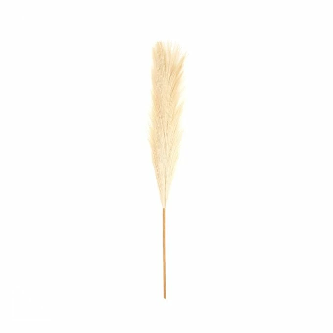 Brand new π Hobbycraft Long Blonde Pampas Stem 53cm π 3 Brand new π Hobbycraft Long Blonde Pampas Stem 53cm π