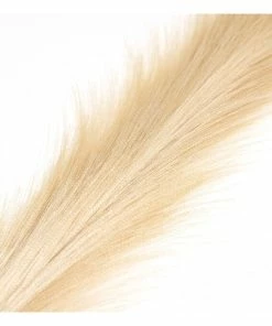 Alternative view of Brand new 🔔 Hobbycraft Long Blonde Pampas Stem 53cm 🔔