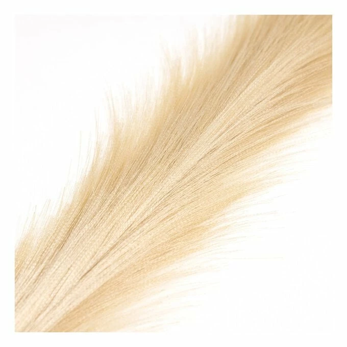 Brand new π Hobbycraft Long Blonde Pampas Stem 53cm π 4 Brand new π Hobbycraft Long Blonde Pampas Stem 53cm π - Image 2