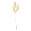Best Pirce π Hobbycraft Tall Ivory Leaf Stem 68.5cm π 2 Best Pirce π Hobbycraft Tall Ivory Leaf Stem 68.5cm π -Hobbycraft Shop 659139 1000 1 christmas stem pick tall leaf white