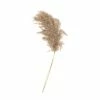 Outlet π₯ Hobbycraft Fluffy Pampas Pick 61cm π 1 Outlet π₯ Hobbycraft Fluffy Pampas Pick 61cm π -Hobbycraft Shop 659450 1000 1 pampas autumn grass pick decoration