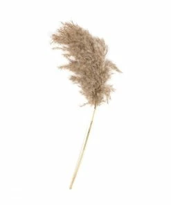 Outlet 🔥 Hobbycraft Fluffy Pampas Pick 61cm 🎉