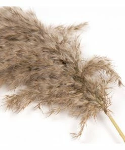 Alternative view of Outlet 🔥 Hobbycraft Fluffy Pampas Pick 61cm 🎉