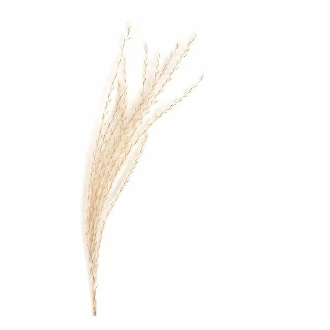 Outlet โค๏ธ Hobbycraft Fluffy Branch Pick 53cm ๐ฅ - Image 2