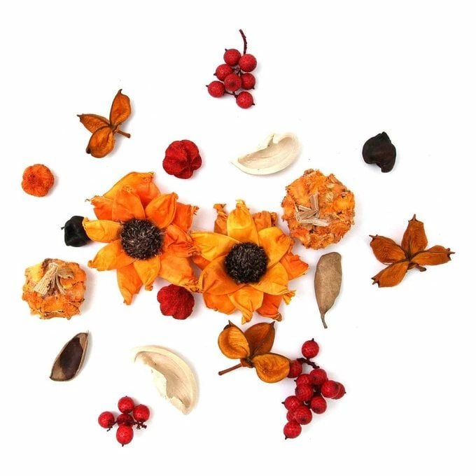 Best Sale 🔥 Hobbycraft Orange Wreath Accessories Set 💯 3 Best Sale 🔥 Hobbycraft Orange Wreath Accessories Set 💯