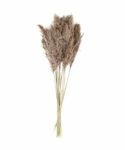 Cheapest 🤩 Hobbycraft Dried Nanal Grass Bunch 72cm 😀